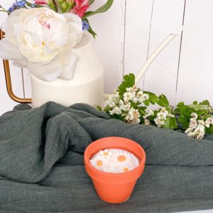 La Bougie Fleurie - Fleur de Cactus Mini